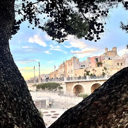 Angolo Di Paradiso